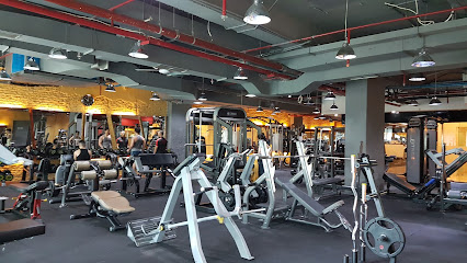 NEW LIFE GYM