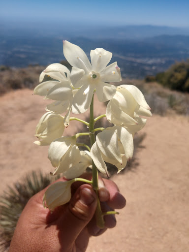 Observation Deck «Inspiration Point», reviews and photos, Echo Mountain (Mount Lowe Railroad Trail), Altadena, CA 91001, USA