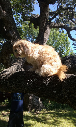 Office Supply Store «Office Depot», reviews and photos, 11398 Bandera Rd, San Antonio, TX 78250, USA