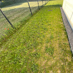 Photo n° 3 de l'avis de Laurent.h fait le 16/06/2021 à 15:31 pour LANTANA AMBIANCE & JARDIN à Cernay-lès-Reims