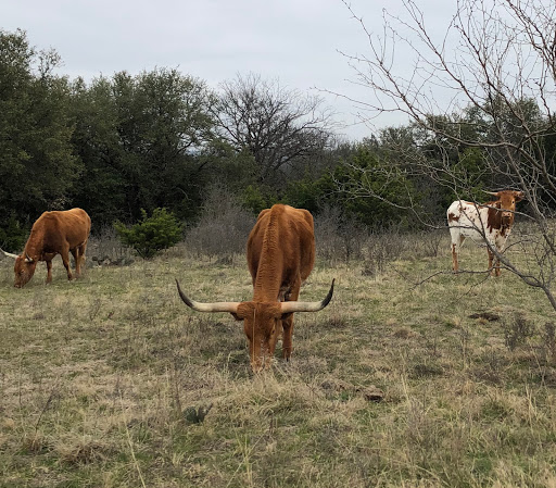 Dale River Ranch