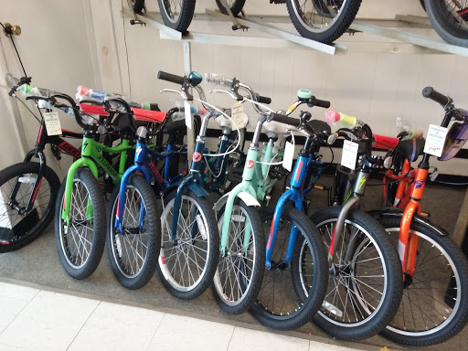 Bicycle Store «Roberts Bicycles», reviews and photos, 33-13 Francis Lewis Blvd, Flushing, NY 11358, USA