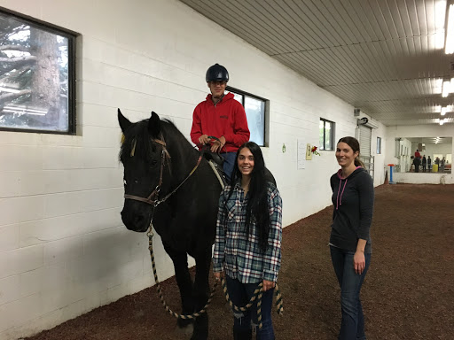 Courage Reins Equine Assisted Therapies