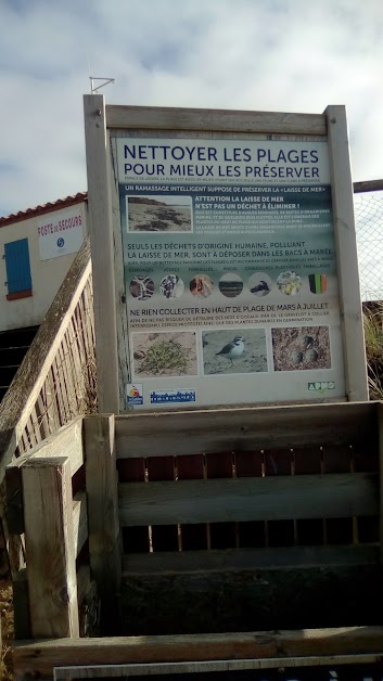 le balto à Les Sables-d'Olonne