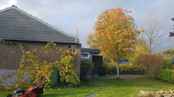 Photo Ferienhaus Strandperle 24972 Steinberg