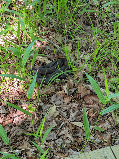 Public Golf Course «Newport News Golf Club at Deer Run», reviews and photos, 901 Clubhouse Way, Newport News, VA 23608, USA