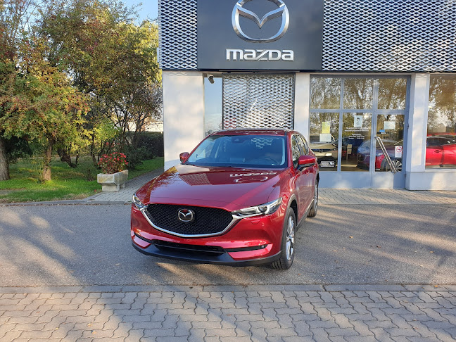 Comentarii opinii despre Jász-Plasztik Autócentrum - Kecskemét, Kia bemutatóterem és szerviz