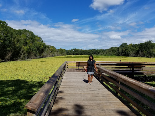 Park «Al Lopez Field», reviews and photos, 4810 N Himes Ave, Tampa, FL 33614, USA