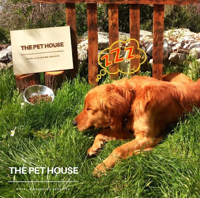 The Pet House - Turkey