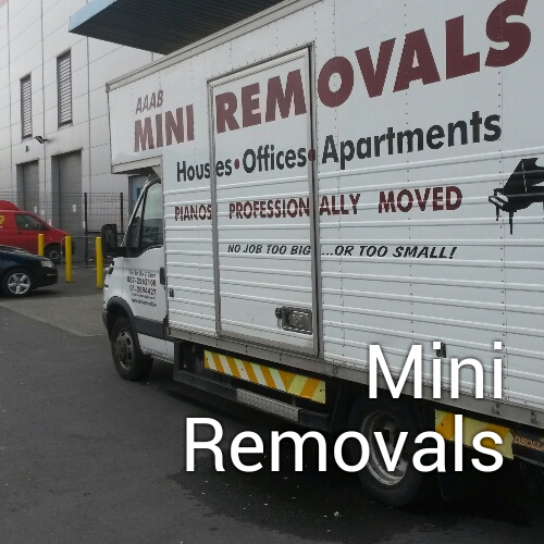 Mini Removals