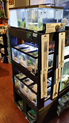 Tropical Fish Store «Aquastetics», reviews and photos, 354 E Main St, Fall River, MA 02724, USA