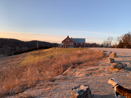 Winery «Canterbury Hill Winery and Restaurant», reviews and photos, 1707 S Summit Dr, Holts Summit, MO 65043, USA