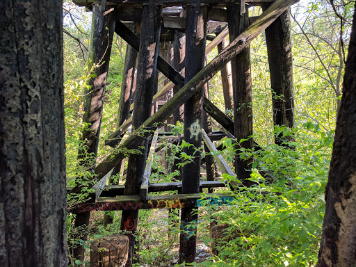 Park «Lakewood Park», reviews and photos, 7143 Williamson Rd, Dallas, TX 75214, USA