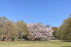 Nogawa Park image