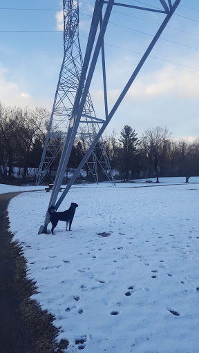 Park «Teegarden Park», reviews and photos, 440 Old State Rd, Berwyn, PA 19312, USA