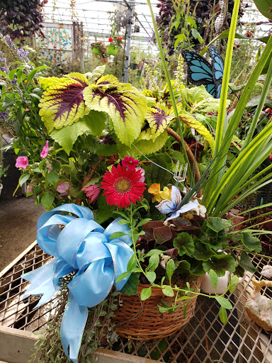 Florist «St. Clair Greenhouses & Florist», reviews and photos, 7043 Big Hand Rd, St Clair, MI 48079, USA