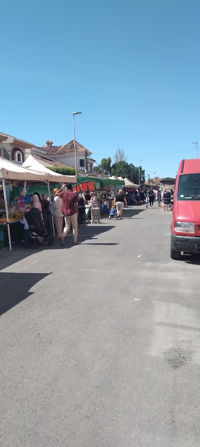 Momento de Purocafé Los Alcázares
