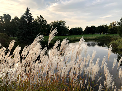 Golf Course «Springbrook Golf Course», reviews and photos, 2220 83rd St, Naperville, IL 60564, USA