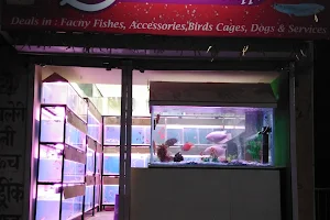 Happy Fish Aquarium Pet &Birds image
