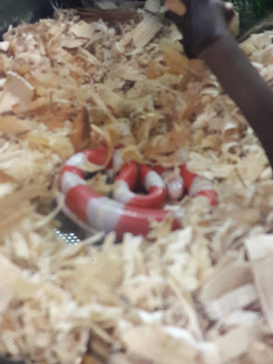 Pet Supply Store «PetSmart», reviews and photos, 533 S Broad St, Meriden, CT 06450, USA