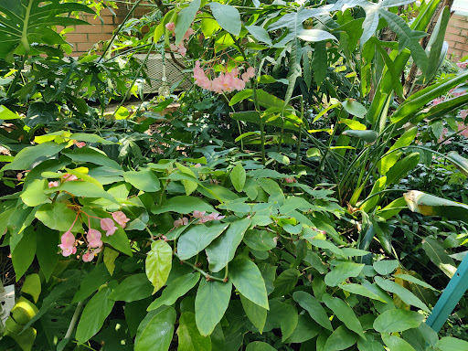 Botanical Garden «White River Gardens», reviews and photos, 1200 W Washington St, Indianapolis, IN 46222, USA