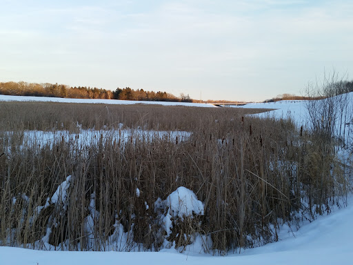 Public Golf Course «Hansen Park Golf Course», reviews and photos, 9800 Underwood Pkwy, Wauwatosa, WI 53226, USA