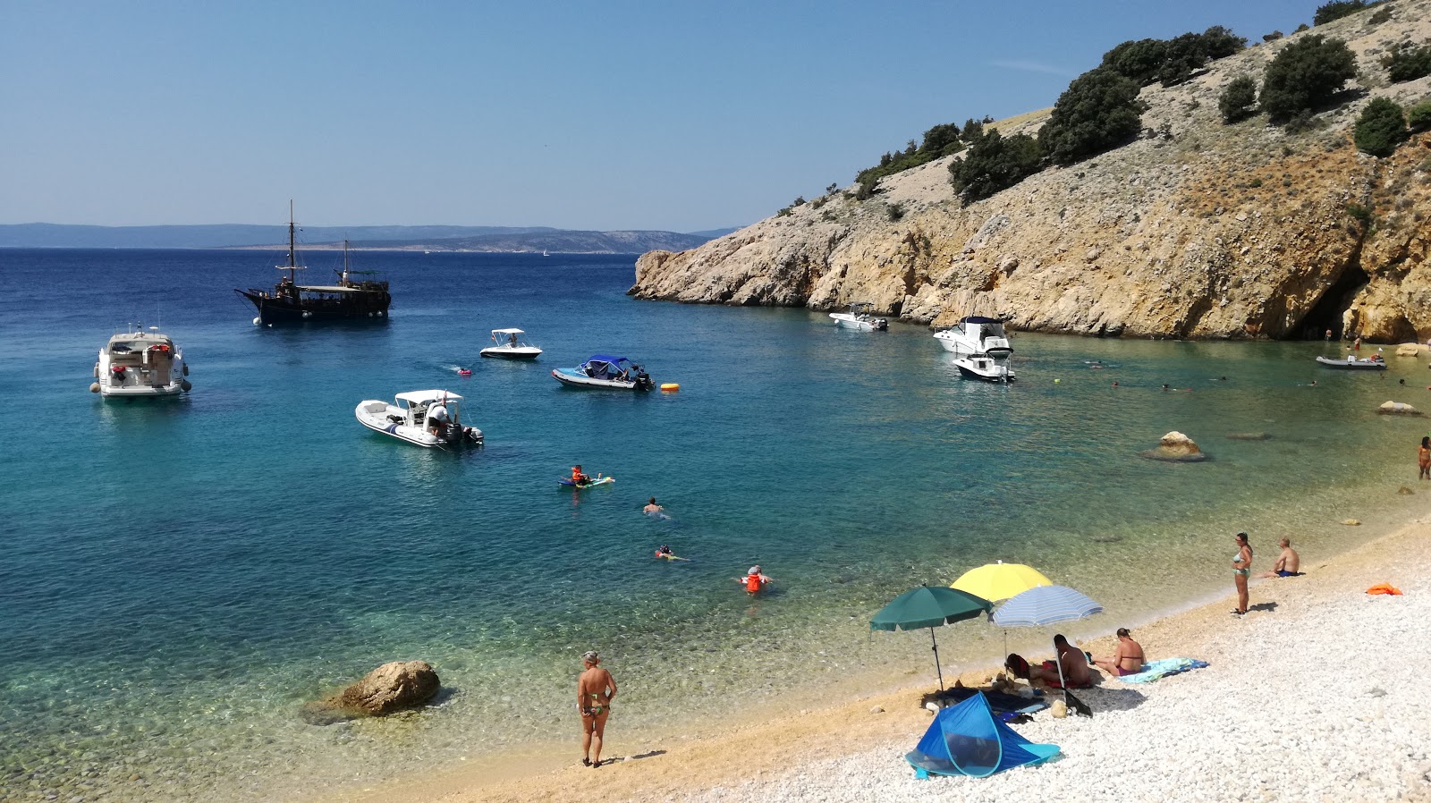 Fox Bay'in fotoğrafı vahşi alan