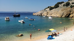 Fox Bay'in fotoğrafı vahşi alan