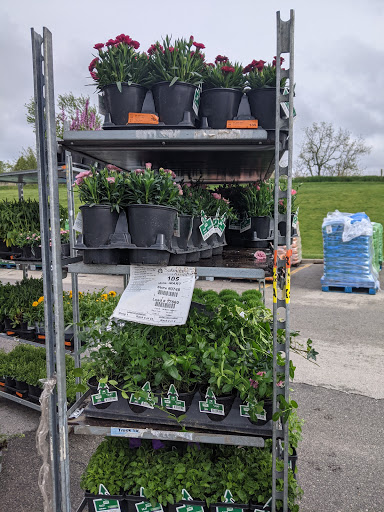 Department Store «Walmart Supercenter», reviews and photos, 300 Iowa Speedway Dr, Newton, IA 50208, USA