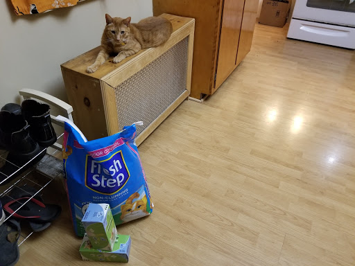 Pet Supply Store «Pet Supplies Plus», reviews and photos, 494 Westgate Dr, Brockton, MA 02301, USA