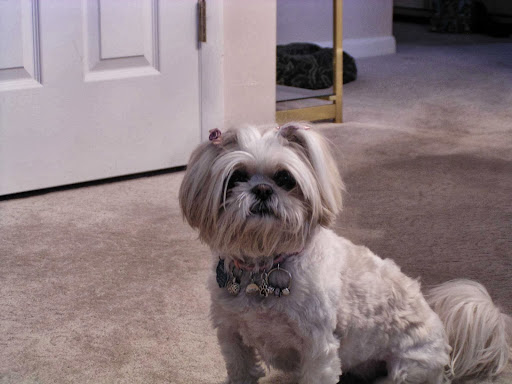 Jeweler «Hyde Park Jeweler», reviews and photos, 4285 Albany Post Rd #4, Hyde Park, NY 12538, USA