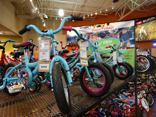 Bicycle Store «Bicycle Village - Westminster», reviews and photos, 9170 Wadsworth Pkwy, Westminster, CO 80021, USA