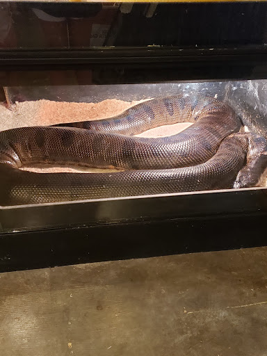 Pet Store «Miles of Exotics», reviews and photos, 8350 N Broadway, Kansas City, MO 64118, USA