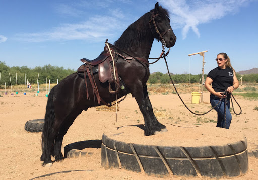 Horse trainer Peoria