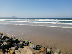 Cactus beach photo #6