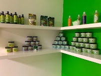 Holistic Care Group - Photo 5 - Car repair in Lancaster, CA, Lancaster