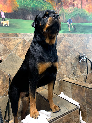 Pet Supply Store «Pet Valu», reviews and photos, 411 Valley Brook Ave, Lyndhurst, NJ 07071, USA