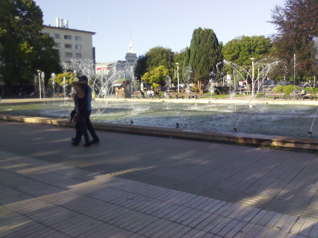 Catedral Osorno - Iglesia