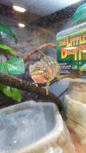 Pet Supply Store «Petco Animal Supplies», reviews and photos, 5565 S Virginia St, Reno, NV 89502, USA