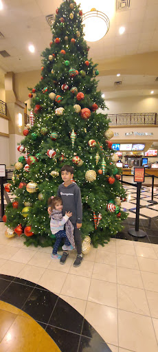 Shopping Mall «Shops At Dos Lagos», reviews and photos, 2780 Cabot Dr #140, Corona, CA 92883, USA