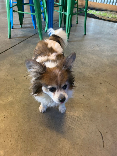 Insurance Agency «Dickerson Agency Inc», reviews and photos