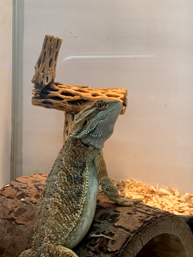 Pet Store «Pets & Such», reviews and photos, 3680 3500 S, West Valley City, UT 84120, USA