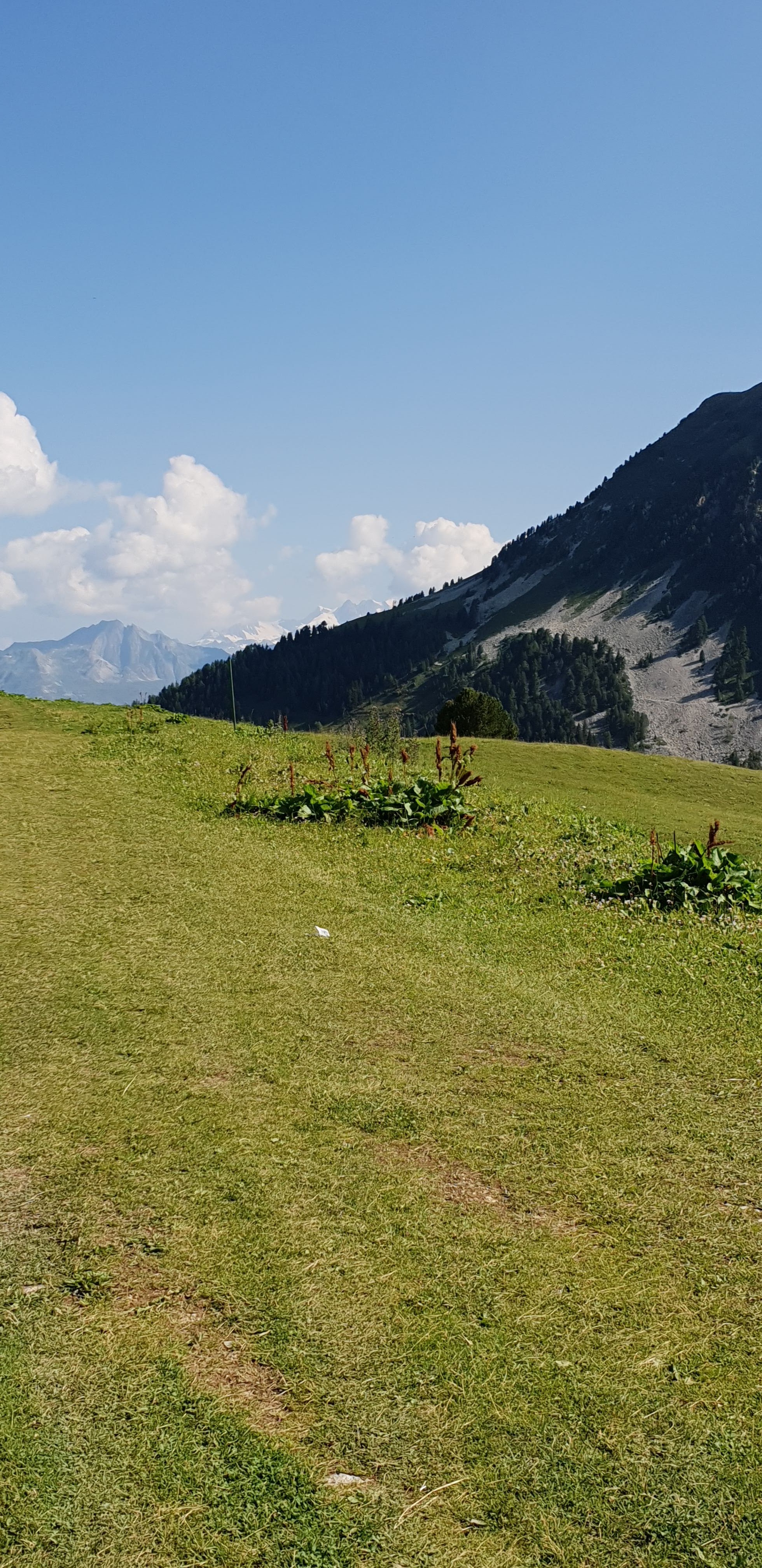 Photo n° 3 de l'avis de Didier.a fait le 08/08/2018 à 07:33