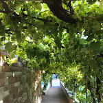 Photo n°1 de l'avis de Anke.a fait le 29/08/2020 à 20:42 sur le  Weinstube Zechpeter à Flemlingen