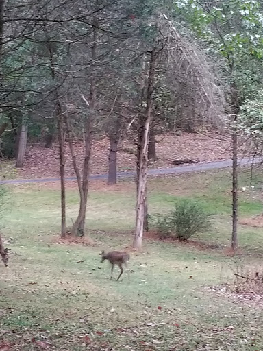 Park «Hillside Park», reviews and photos, 146 Lake Iliff Rd, Newton, NJ 07860, USA