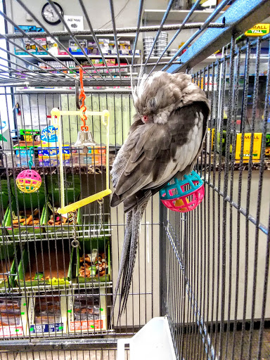 Pet Store «Suncoast Pets», reviews and photos, 7117 US-98, Panama City Beach, FL 32407, USA