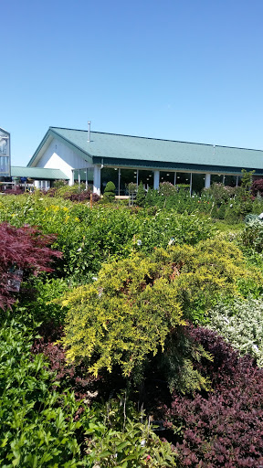 Lucas Nursery & Landscaping