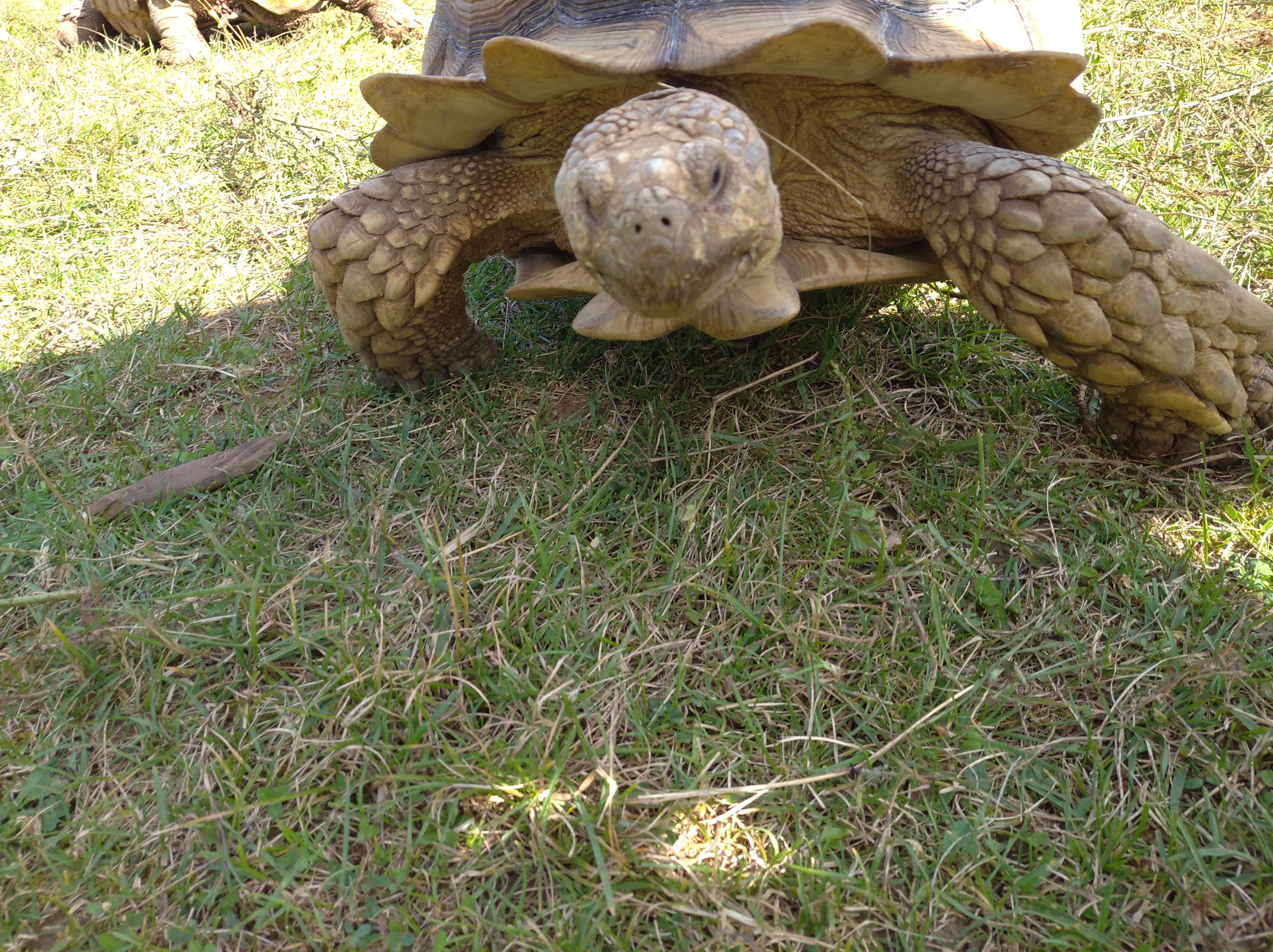 Photo n° 1 de l'avis de Laguoinze.b fait le 04/08/2021 à 18:23