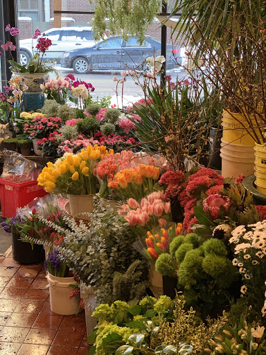 Florist «Green Inc», reviews and photos, 1718 N Wells St, Chicago, IL 60614, USA