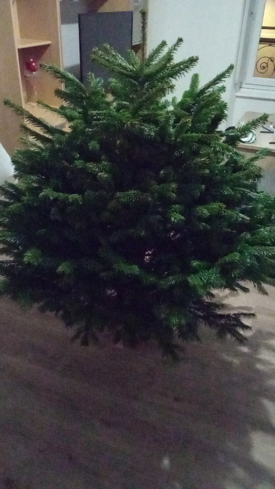 Photo n° 1 de l'avis de Carole.e fait le 01/12/2021 à 16:43